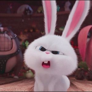 Meet your Posher, Nguyen